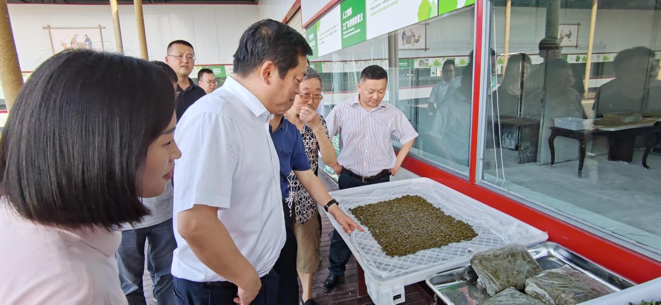 省ag尊龙登陆入口z6mg集团党委副书记、董事陈日赴嘉陵区调研茶桑产业发展情况