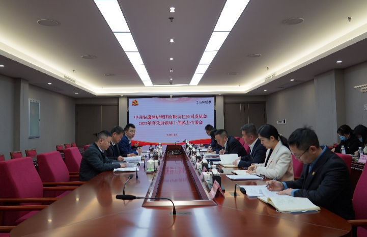 ag尊龙登陆入口z6mg集团党委书记、董事长任丁出席安逸酒店集团2022年度党员领导干部民主生活会